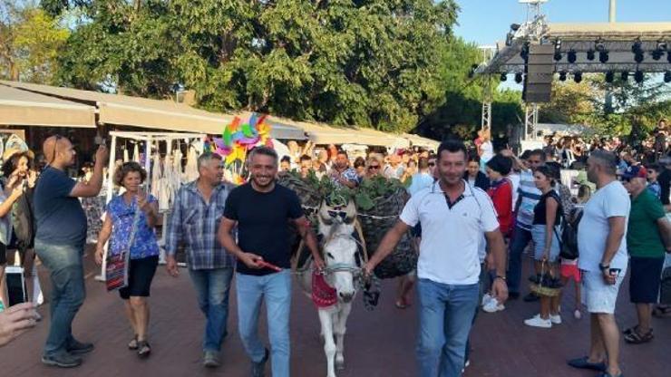 Bozcaadada 20nci Kültür, Sanat ve Bağbozumu Festivali başladı
