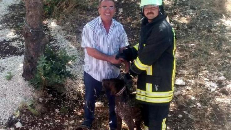 Çukura düşen köpeği itfaiye kurtardı
