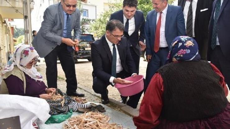 Başçiftlikte fasulye, kiraz ve çilek üretimi desteklenecek