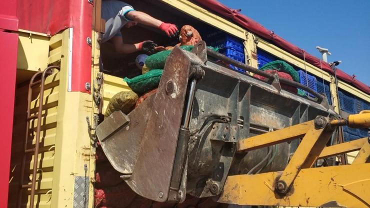 8 ton midye sağlıksız diye imha edildi