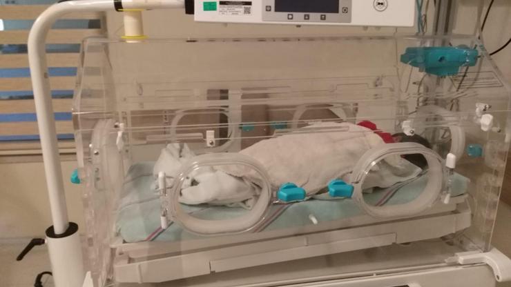 Çöpe atılan bebek kurtarıldı