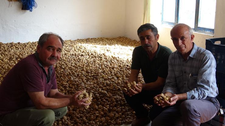 Tüccar fiyat kırdı, kuru incir depoda kaldı