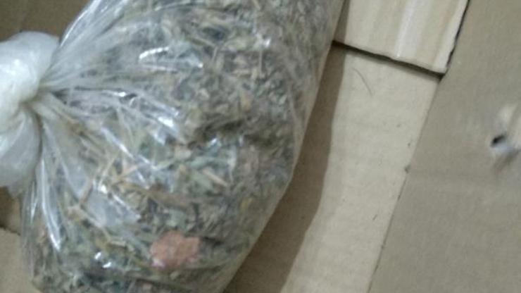 Gaziantepte uyuşturucuya 5 gözaltı