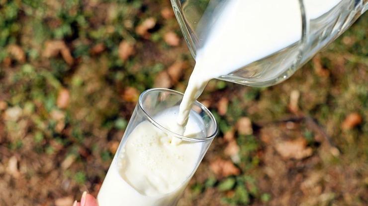 Spordan sonra en az 500 ml süt içilmeli