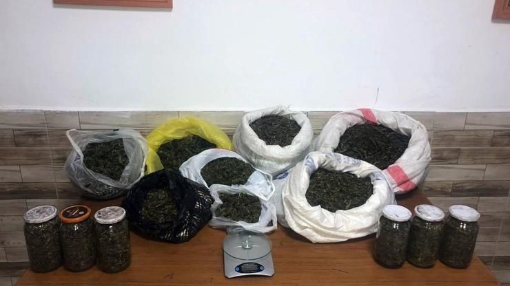 Fındıklık bahçesinde kavanoz içinden esrar çıktı