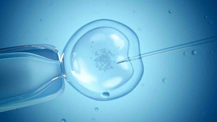 Preimplantasyon Genetik Tanı nedir