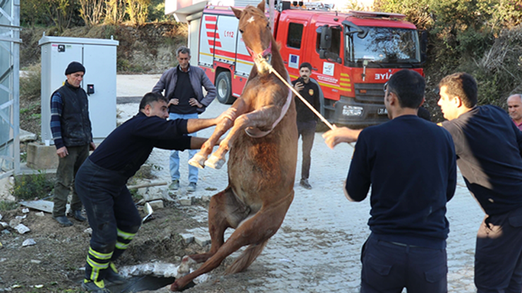 Böyle kurtarıldı