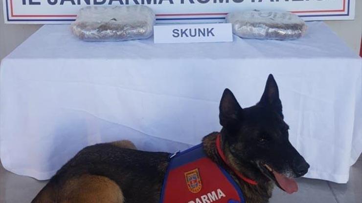 Yolcunun çantasından uyuşturucu çıktı