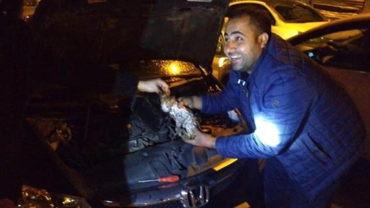 Aracın motorunda sıkışan yavru kedi kurtarıldı