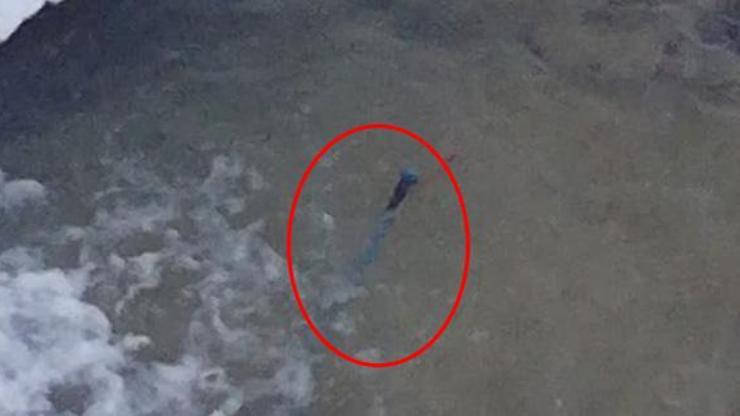 Son dakika... Uludağdaki aramalarda yeni gelişme