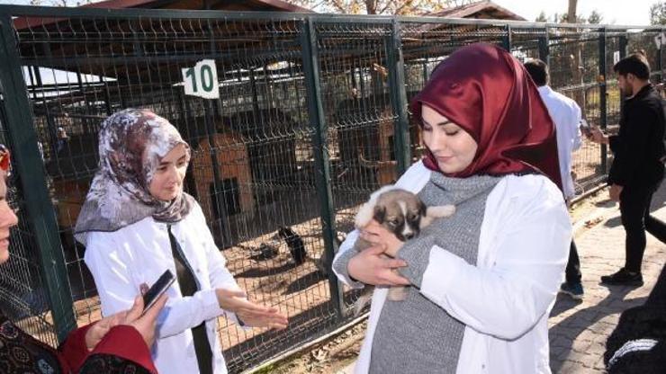 Üniversiteli öğrencilerden, hayvan barınağı ziyareti