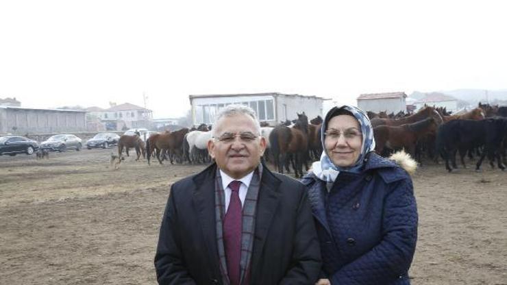 Başkan Büyükkılıç, yılkı atlarını yerinde gördü