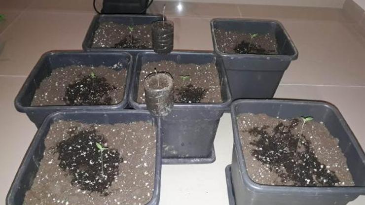 Aranan şüpheliler uyuşturucuyla yakalandı