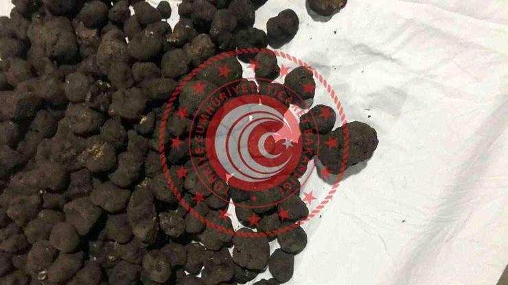 Trüf mantarına yine alıcı çıkmadı