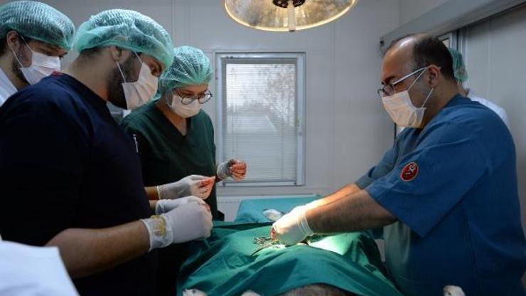 Barınakta öğrencilere uygulamalı eğitim