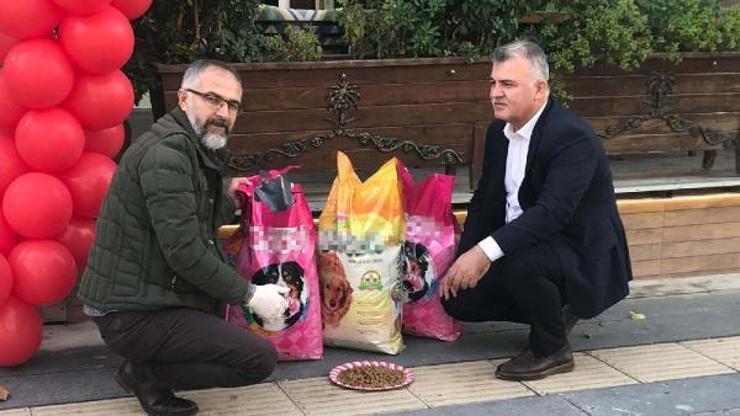 Sokak hayvanları için mama bırakıldı