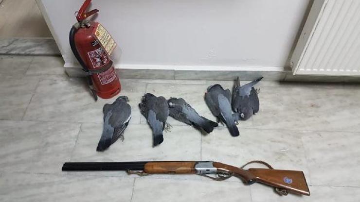 Şehir merkezinde avlanan kaçak avcıya ceza