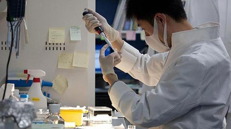 2020de 1.8 milyon yeni kanser vakası gerçekleşecek