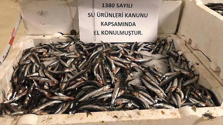 53 ton balığa el konuldu