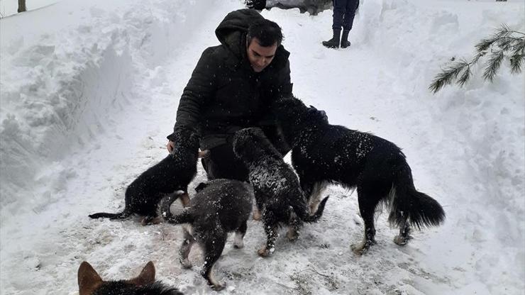 Köpekleriyle dağda mahsur kalan kişi kurtarıldı