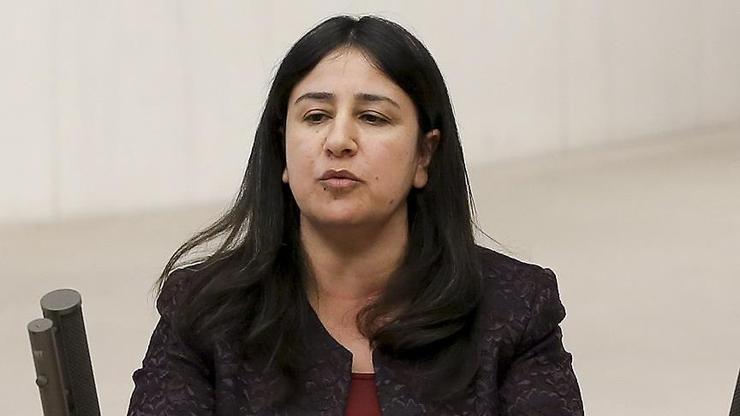 Eski HDP Diyarbakır Milletvekili Çağlar Demirele 7,5 yıl hapis cezası