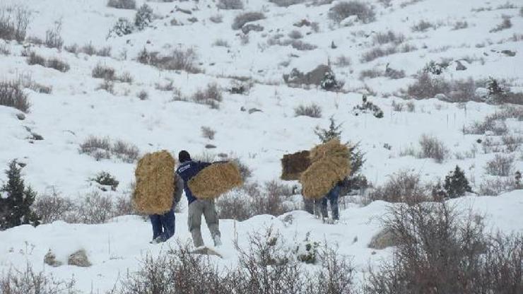 Niğde’de yabani hayvanlar için doğaya yem, sakatat ve yonca bırakıldı