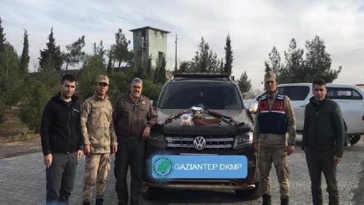 Kaçak avcılar suçüstü yakalandı