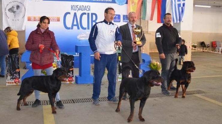 Köpek ırkları Kuşadasında yarıştı