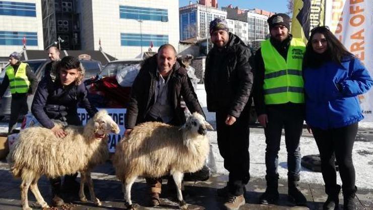 Depremzedelere iki koyununu gönderdi