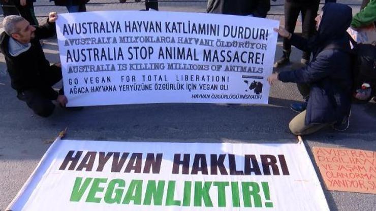 Avustralya Başkonsolosluğu önünde Deve eylemi