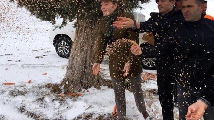 Pınarbaşında, yaban hayvanları için doğaya yem bırakıldı