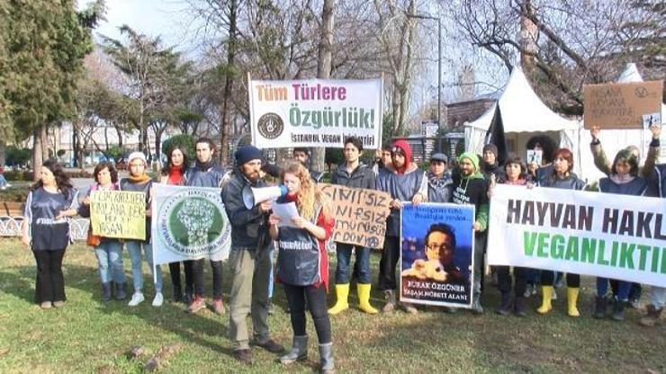 İBB önünde atlar için 41 gün önce başlatılan Yaşam Nöbeti sona erdi