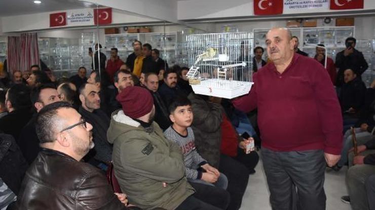 Kütahya’da kuş meraklıları mezatta buluştu
