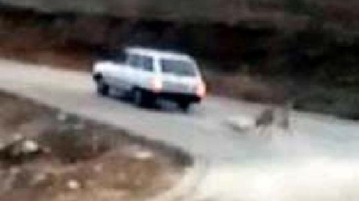 Köpeğini otomobile zincirle bağlayarak sürükledi