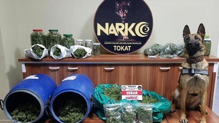 Evdeki uyuşturucuyu Masha buldu