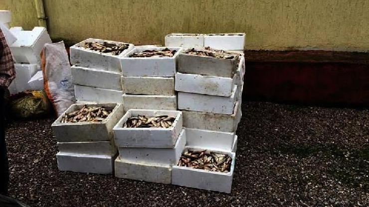 Kaçak avlanan balıkçılar yakalandı