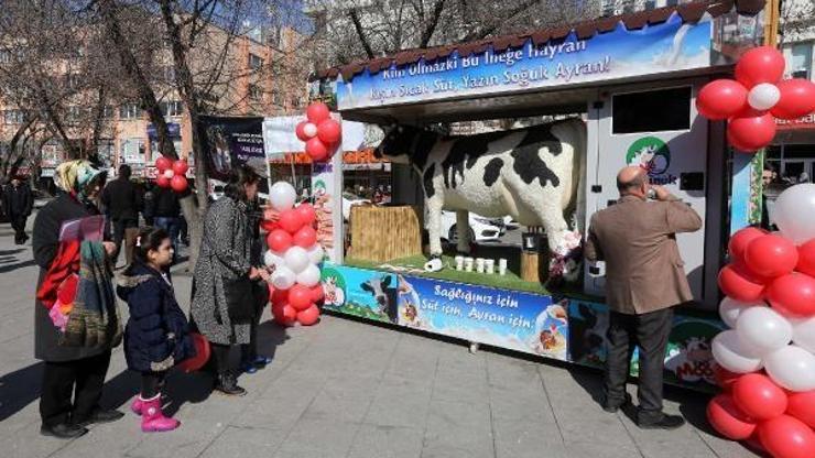 Akıllı İnek otomatı Yenimahallede