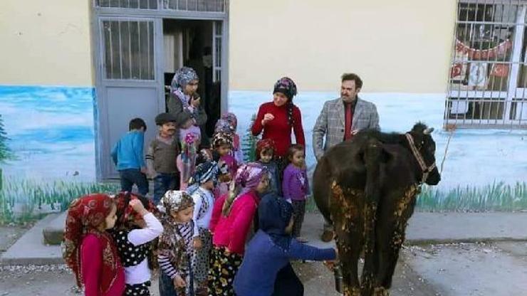 Altınözünde minikler elleriyle süt sağdı