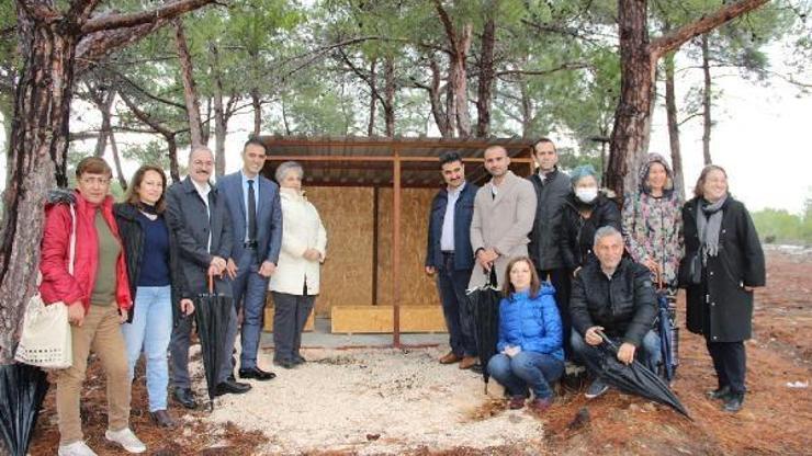 Silifkeye hayvan besleme noktaları konuldu