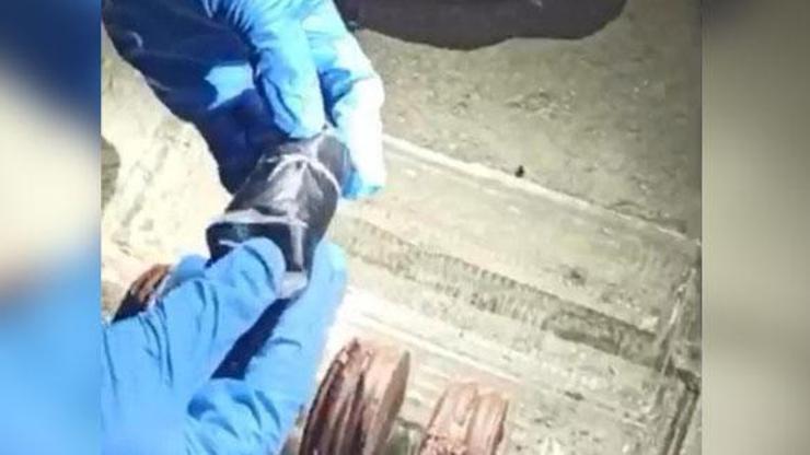 Biskivü paketinin içine saklamışlar