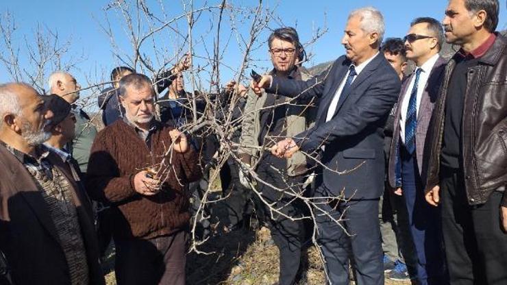 Çiftçilere, meyve ağaçlarında budama eğitimi verildi