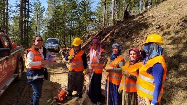 Kunduz Ormanları kadınlara emanet