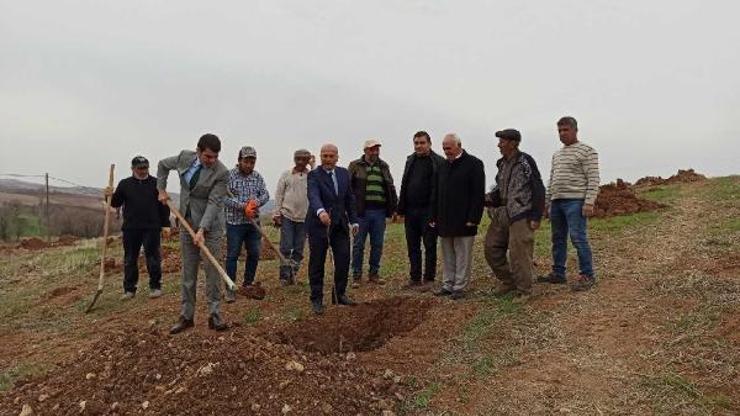Gölbaşı’nda ceviz yetiştiriciliği yaygınlaştırılıyor