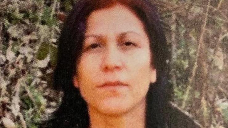 Son dakika... Terör örgütü PKKya ağır darbe: Halide Tarı etkisiz hale getirildi