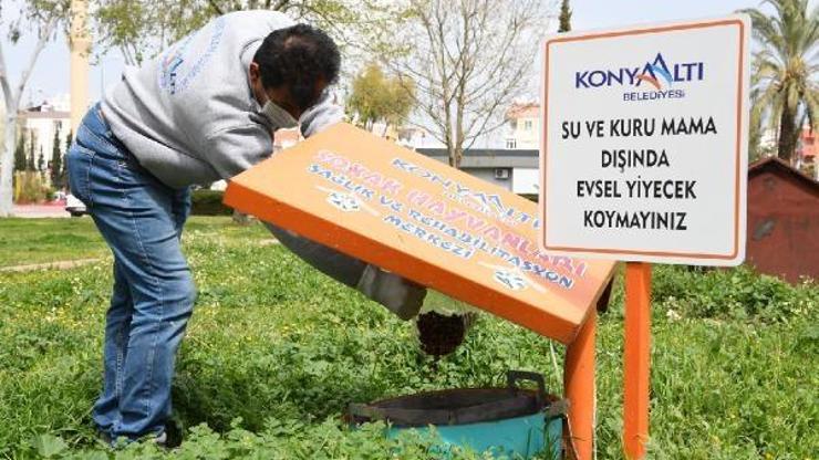 Konyaaltı Belediyesi, sokak hayvanlarını unutmadı