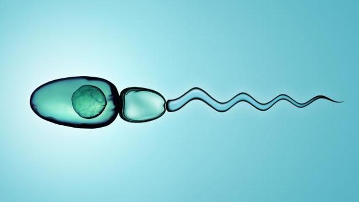 Sağlıklı sperm seçimi nasıl olmalı