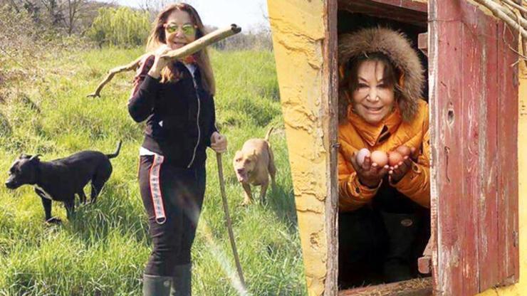 Her şey çiftlikten Neslihan Kozanoğlunun karantina günleri