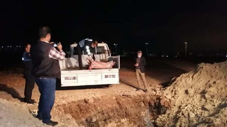 200 kilo kaçak et ele geçirildi