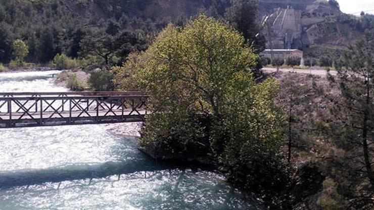 Bakanlıktan açıklama geldi Renk değişimi araştırılıyor