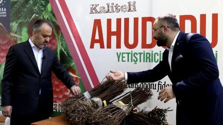 125 bin ahududu fidanı üreticiyle buluştu
